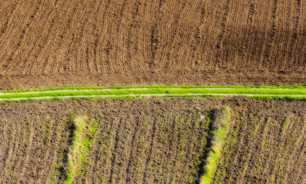 Dotacje dla rolników 2026: przewodnik po programach ARiMR